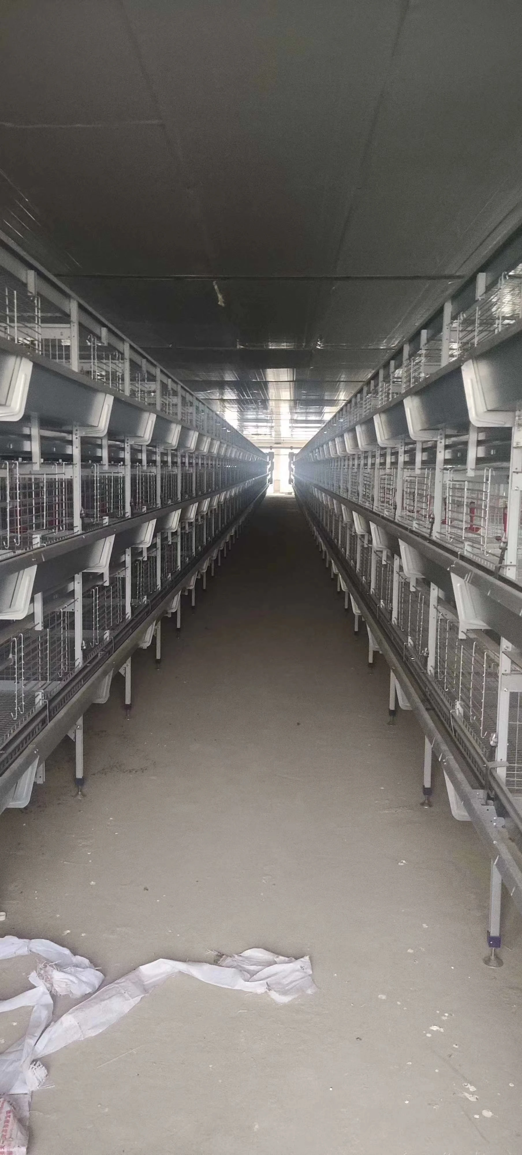 design modern chicken farm chicken coop large scale poultry farming equipment  cages with fully automatic systems