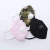 Import Disposable face shield folded fashion nose dust mask from China