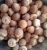 Import Dried Betel Nuts, Betel Nuts Whole and Split from Republic of Türkiye