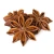 Import Dried Star Aniseed/Anise seeds with stems spices from South Africa