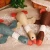 Import Eco friendly funny plush puppy dog toy pack import from china from China