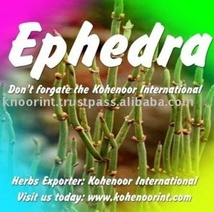 Ephedra Exporter herb medicine