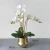 Import Europe Gold Ceramic Porcelain Bonsai Modern Flower Vase With Orchid Home Decorative from China