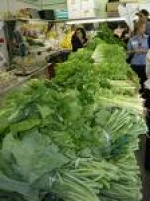 Exotic Vegetables, Broccoli, Celery, Lettuce, Parsley, Red Cabbage