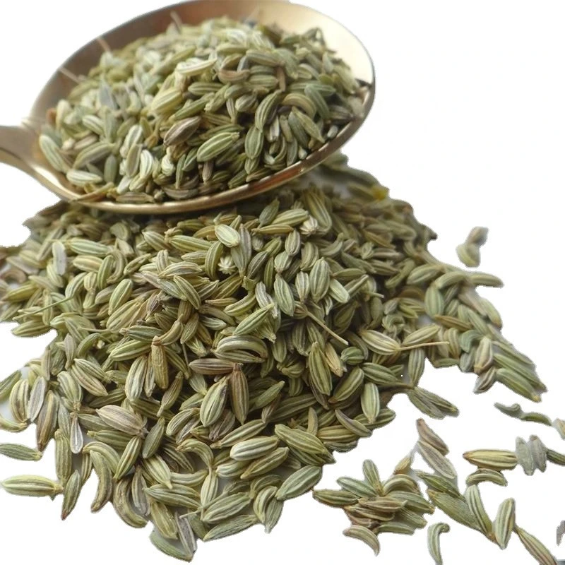 Export Chinese  seasoning herbs and Spices Fennel Seeds