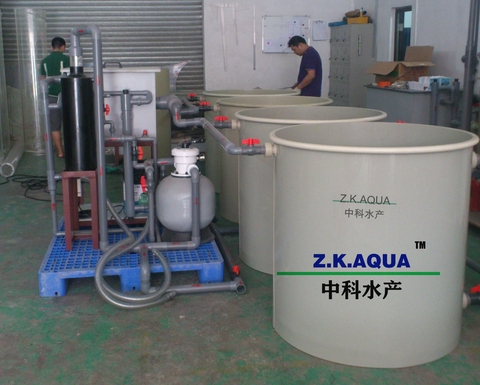 Mini Ras System Buy Factory Made 3m3~30m3 Mini Ras Biology Aquaculture Fish System ...
