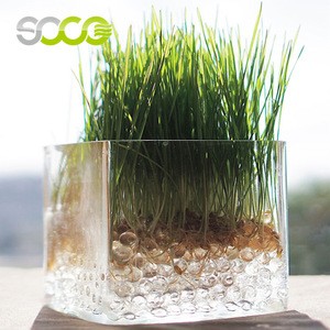 Factory Price Water Gel Beads Eco-friendly SAP Crystal Soil For Plants Garden Decoration Magic Polymer Water Balls