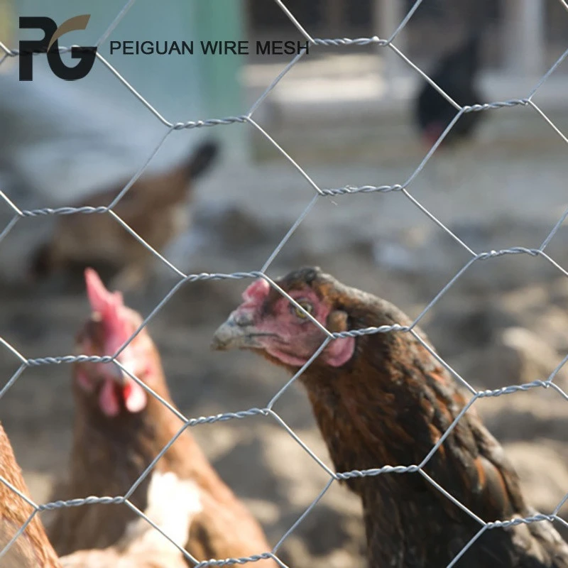 Farm Poultry Fencing Galvanized Steel Iron Wire Hexagonal Wire Mesh Aviary Chicken Wire Fencing Panels