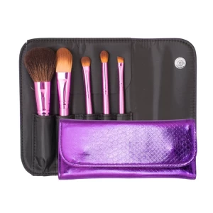 Fashion Daily Using 5PCS Cosmetic Brush/Makeup Brush