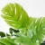 Import Faux Plant Home Office Party Decoration Plastic Faux Artificial Monstera Plant from China