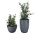 Import Flower Pot Indoor Outdoor Modern Vase Fiberglass Planters &amp; Flower Plant Pot For Restaurant Hotel from China