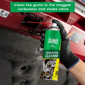 Free Sample Brake Cleaner Automobile Cleaner Car Care Products Carburetor Cleaner Products Spray