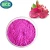 Import Free Sample Fresh Organic Dragon Fruit Concentrate Powder from China