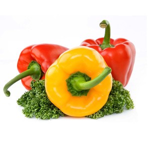 Fresh Bell pepper/color capsicums, Fresh Style and Green Color red bell pepper