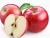 Import fresh cheap apple in china from China