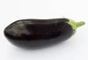 Fresh  Eggplant Export Wholesale