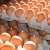 Import Fresh Farm Chicken Table Eggs/ Farm Fresh Chicken Eggs Brown and White Shell Chicken Eggs from Republic of Türkiye
