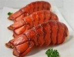 FRESH FROZEN LOBSTER/FROZEN SEAFOODS