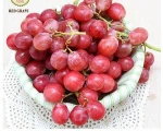 Fresh Grapes