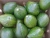 Import Fresh Hass and Fuerte Avocados from South Africa from South Africa
