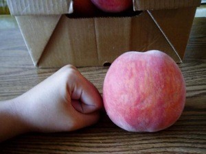 fresh peach from china