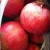 Import Fresh pomegranate for sales from China