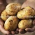 Import fresh potato importers in dubai from China