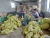 Import Fresh Potato NEW Crop from China