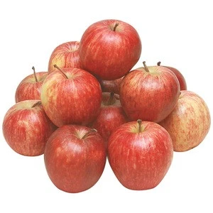 Fresh Royal Gala Apples now available for exportation