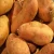Import fresh sweet potato from China