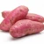 Import Fresh Sweet Potatoes from USA