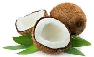 FRESH YOUNG COCONUT with GREEN HUSK