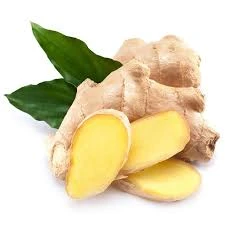 FRESH YOUNG GINGER FROM VIETNAM