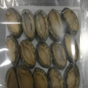 Frozen Abalone Shellfish For Sale