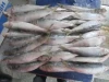 Frozen Sardine Fish/IQF sardine fish frozen seafood wholesale