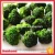 Import Frozen Vegetables Brands Organic Iqf Broccoli from China
