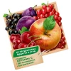 Fruit Berry Mix Juice DOBRY