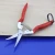 Import Fruit picking grapes fruit thinning stainless steel tip orchard fruit picking scissors from China