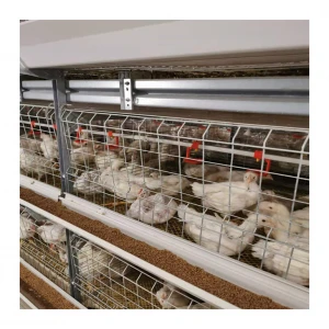 Galvanized Layer Chicken Cage Poultry Animal Cages for Broiler Chicken