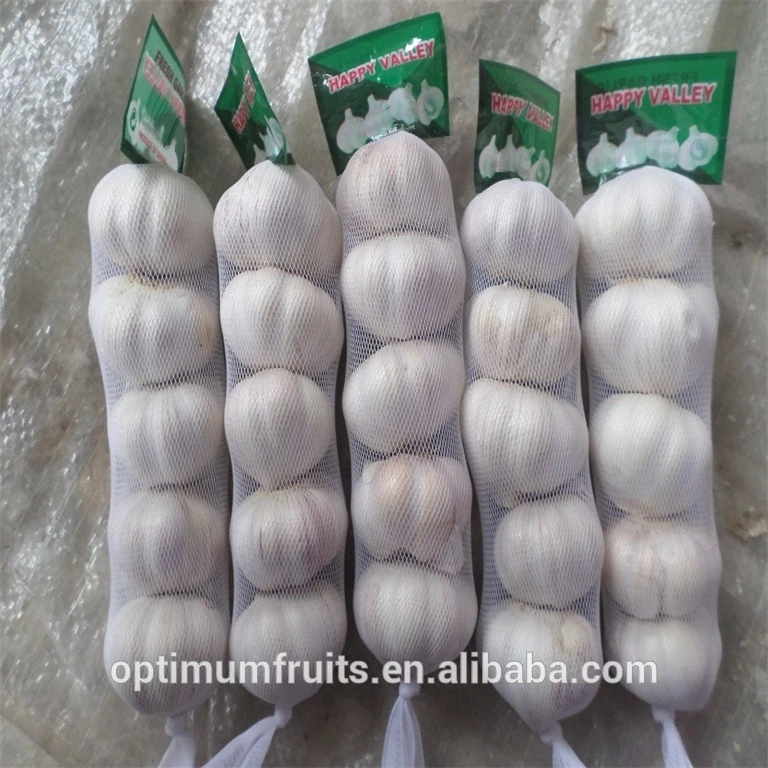 garlic fresh price from fresh jining garlic/ajo chino china garlic