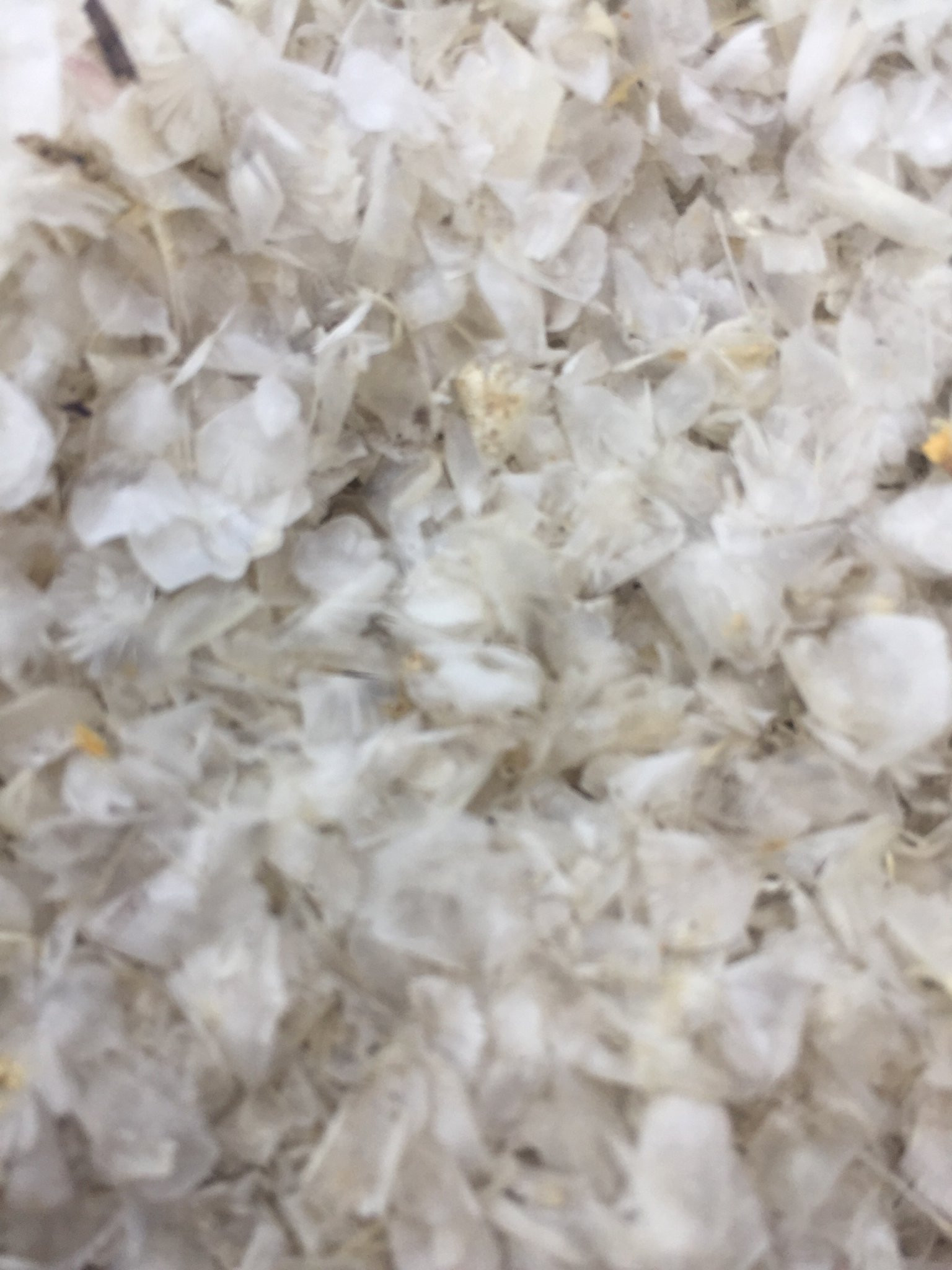 Buy Gelatin Fish Scale Dried Fish Scale Dried Black Tilapia Scale