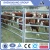 Import Goats, cattle, horses and other animal breeding fence from China