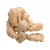 Import Good price china wholesale new crop fresh ginger ginger ginger from China