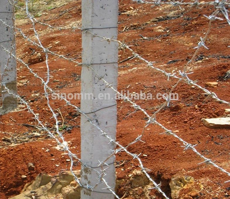 Good Quality And Best Price Galvanized Barbed Wire