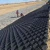 Import Green color 100% new HDPE textured and perforated Geocell factory for gravel stabilizer from China
