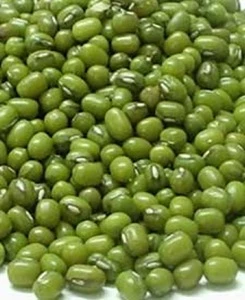 Green Mung Beans/Vigna Beans Supplier
