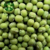 Green Vigna Beans Green mung beans of China Origin ton Price