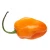 Import Habanero from South Africa