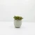 handmade customized Eco-friendly concrete cement stone flower pots &amp; planters