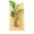 Import Hanging Wooden Board Hydroponic Container Wall Hanging Transparent Glass Vase Home Decoration from China